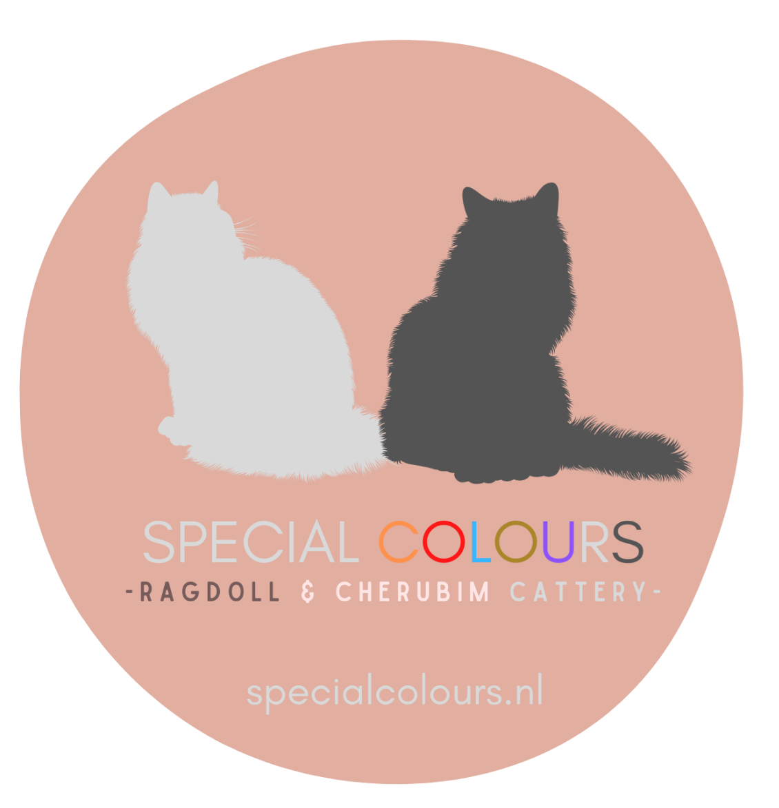 SPECIAL COLOURS    Ragdoll & Cherubim Cattery logo